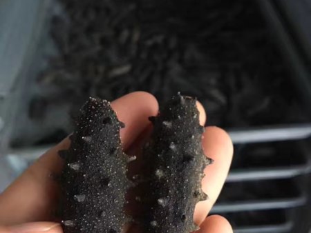 微信图片_202011071545478