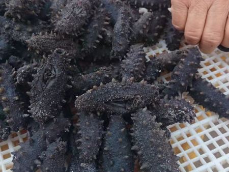 微信图片_2020110715454713