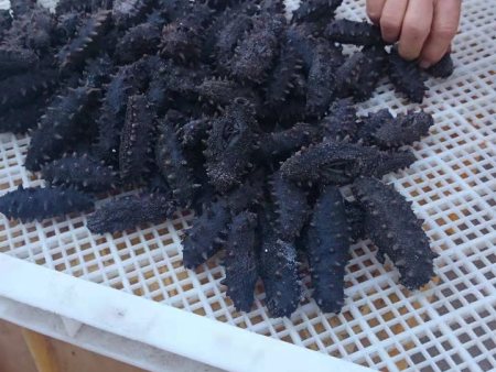 微信图片_2020110715454715