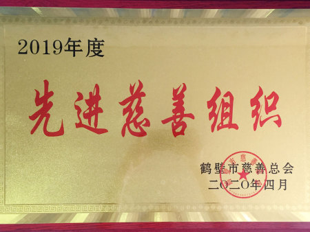 2019年度先进慈善组织 2019年度先进慈善组织