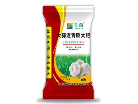 大蒜返青膨大肥