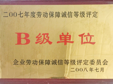 2007年度劳动保障诚信等级评定B级单位（企业劳动保障诚信等级评定委员会）