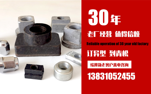 法螺貝 哈芬槽|T型螺栓|GB37螺栓|植筋胶-邯郸市青松紧固件制造有限公司