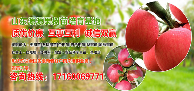 苗木求购信息网介绍|简介|概况-苗木求购信息网