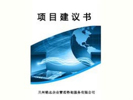 甘肃可研报告撰写​