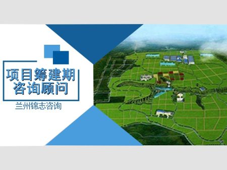 项目筹建期咨询顾问