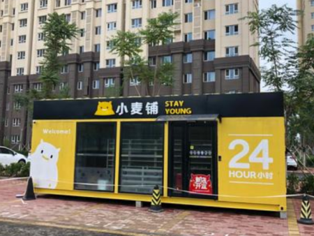 模块化现代房屋