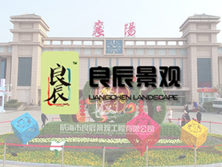 良辰景观：威海网站制作