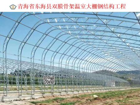 青海省東?？h雙膜骨架溫室大棚鋼結(jié)構(gòu)工程