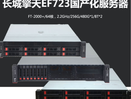 長城擎天EF723國產化服務器高性能計算存儲安可信創服務器
