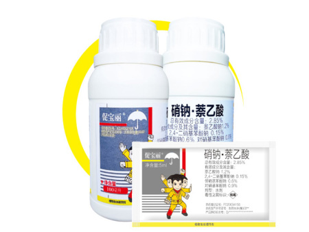 促宝丽