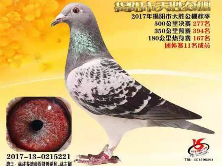 揭阳市天胜公棚 2017年揭阳市天胜公棚秋季 2017-13-0215221 揭阳市天胜公棚 2017年揭阳市天胜公棚秋季 2017-13-0215221