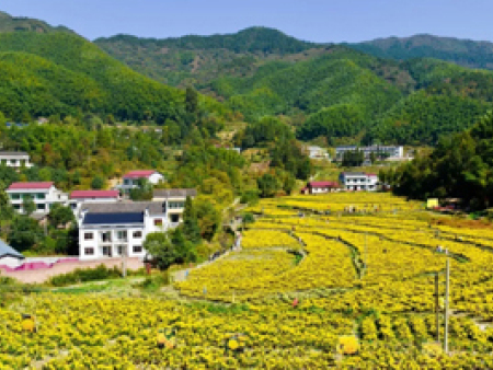 衡山自然風景區