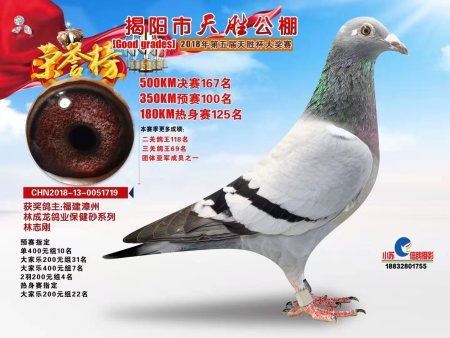 揭阳市天胜公棚  2018年第五届天胜杯大奖赛 CHN2018-13-0051719 揭阳市天胜公棚  2018年第五届天胜杯大奖赛 CHN2018-13-0051719