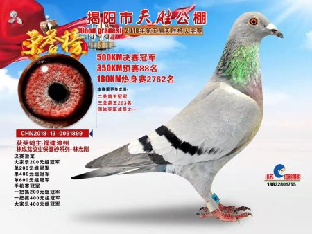揭阳市天胜公棚  2018年第五届天胜杯大奖赛 CHN2018-13-0051899 揭阳市天胜公棚  2018年第五届天胜杯大奖赛 CHN2018-13-0051899