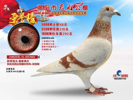 揭阳市天胜公棚  2018年第五届天胜杯大奖赛 CHN2018-13-0051982 揭阳市天胜公棚  2018年第五届天胜杯大奖赛 CHN2018-13-0051982