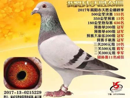 揭阳市天胜公棚 2017年揭阳市天胜公棚秋季 2017-13-0215229 揭阳市天胜公棚 2017年揭阳市天胜公棚秋季 2017-13-0215229