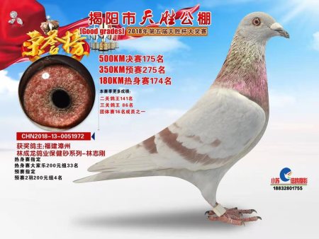 揭阳市天胜公棚  2018年第五届天胜杯大奖赛 CHN2018-13-0051972 揭阳市天胜公棚  2018年第五届天胜杯大奖赛 CHN2018-13-0051972