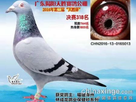 训赛关键期，你更需要注意的是这两点