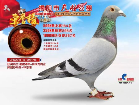 揭阳市天胜公棚  2018年第五届天胜杯大奖赛 CHN2018-13-0051716 揭阳市天胜公棚  2018年第五届天胜杯大奖赛 CHN2018-13-0051716