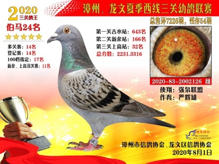 漳州、龙文夏季西线三关幼鸽联赛