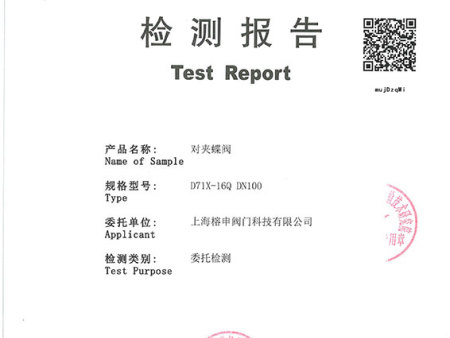 對(duì)夾蝶閥-DN100_1