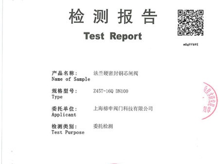 法蘭硬密封銅芯閘閥-DN100_1