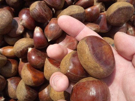 1e2264d3082382e274b99a9e1d130e09_00-08-23-32-208042 1e2264d3082382e274b99a9e1d130e09_00-08-23-32-208042