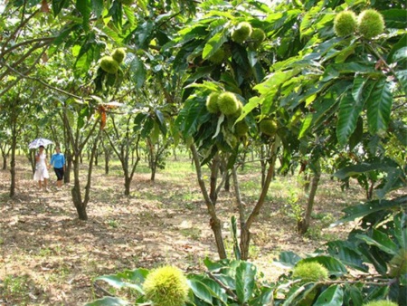 5e8d83845746b07d3cb869b679ee1385_wKhQoldE-VCEWks2AAAAABp6_wI763.jpg..700x700 5e8d83845746b07d3cb869b679ee1385_wKhQoldE-VCEWks2AAAAABp6_wI763.jpg..700x700