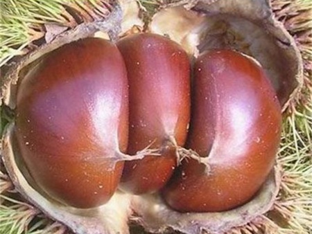 936133180c4b36ac4a59e18d45fc17ac_201762516553965 936133180c4b36ac4a59e18d45fc17ac_201762516553965