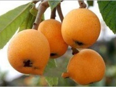 470499703e3d7527a93bfbb9bb27d6cf_t01ea2b480cbeb098e7 470499703e3d7527a93bfbb9bb27d6cf_t01ea2b480cbeb098e7