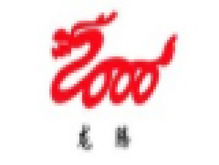 自贡金龙水泥有限公司