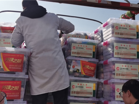 2021年英雄之菜诞生 (34) 2021年英雄之菜诞生 (34)