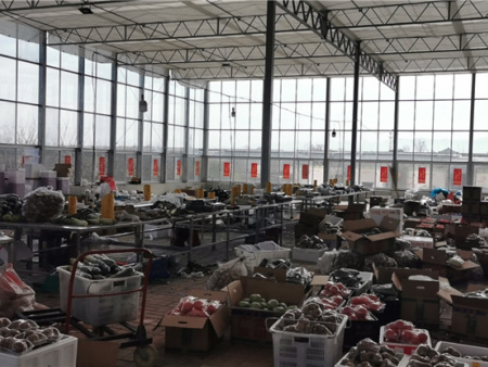 2021年英雄之菜诞生 (40) 2021年英雄之菜诞生 (40)