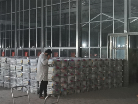 2021年英雄之菜诞生 (26) 2021年英雄之菜诞生 (26)