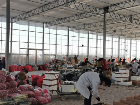 2021年英雄之菜诞生 (39) 2021年英雄之菜诞生 (39)