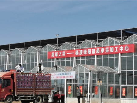 2021年英雄之菜诞生 (35) 2021年英雄之菜诞生 (35)