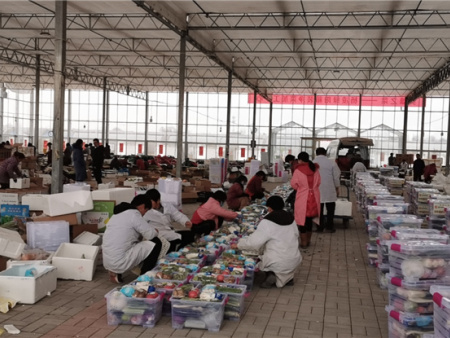 2021年英雄之菜诞生 (32) 2021年英雄之菜诞生 (32)