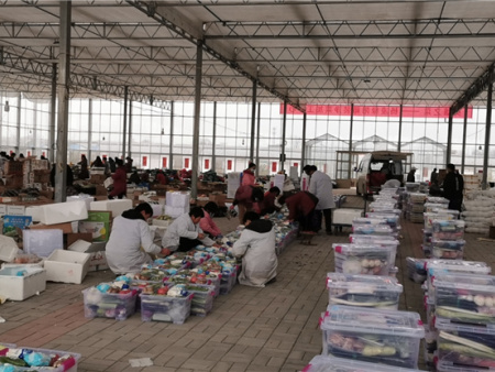 2021年英雄之菜诞生 (30) 2021年英雄之菜诞生 (30)