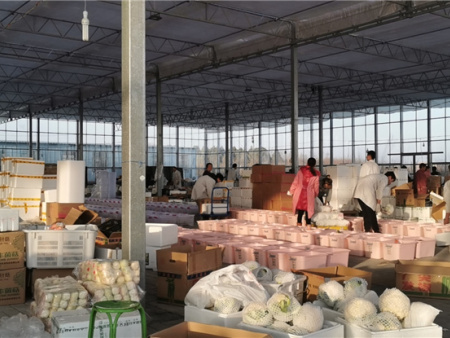 2021年英雄之菜诞生 (24) 2021年英雄之菜诞生 (24)