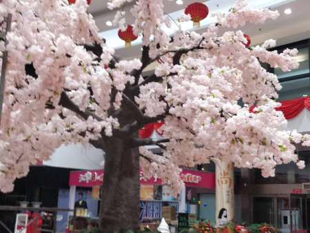 微信图片_2021020211413635