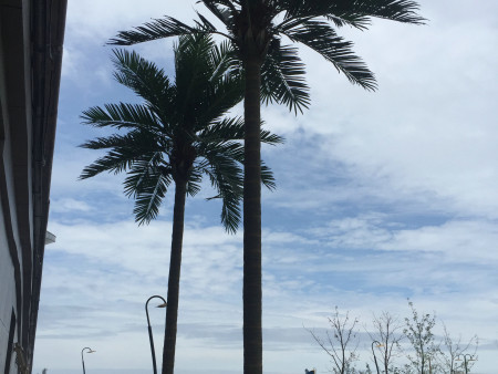 微信图片_2021020211413630