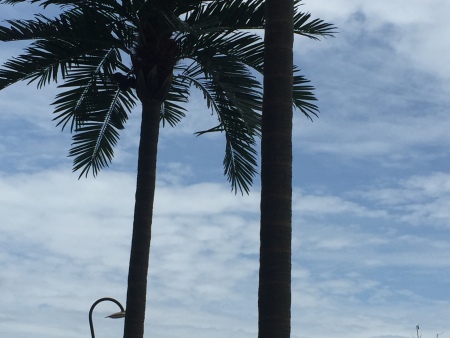 微信图片_2021020211413629