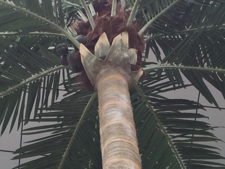 微信图片_2021020211413631