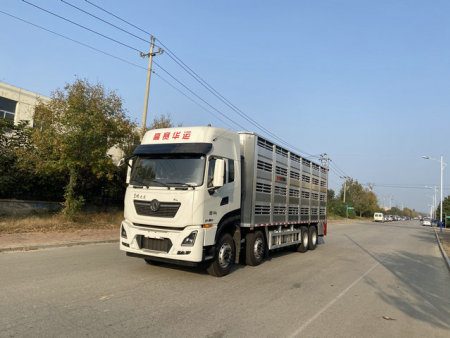 CGS5311CCQ畜禽运输车系列 