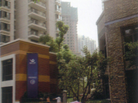 案例