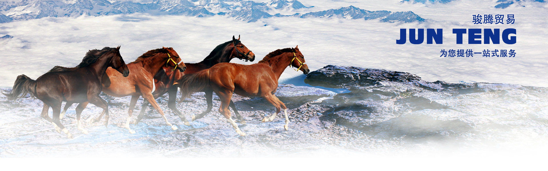 威海骏腾贸易有限公司