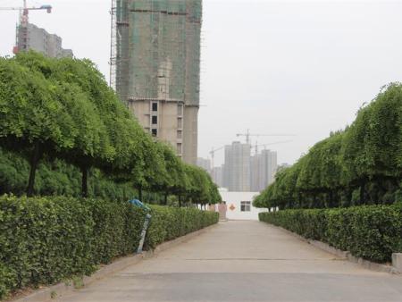 廠區(qū)環(huán)境