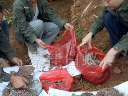 白蚁挖巢治理 (19)