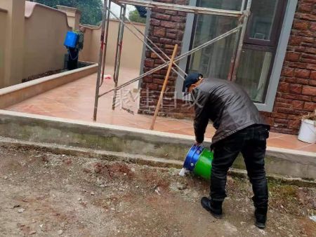 房屋装修预防白蚁 (4)